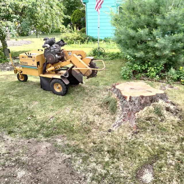 Tip Top Tree Service work photo