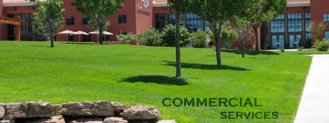 Commercial-Services.jpg