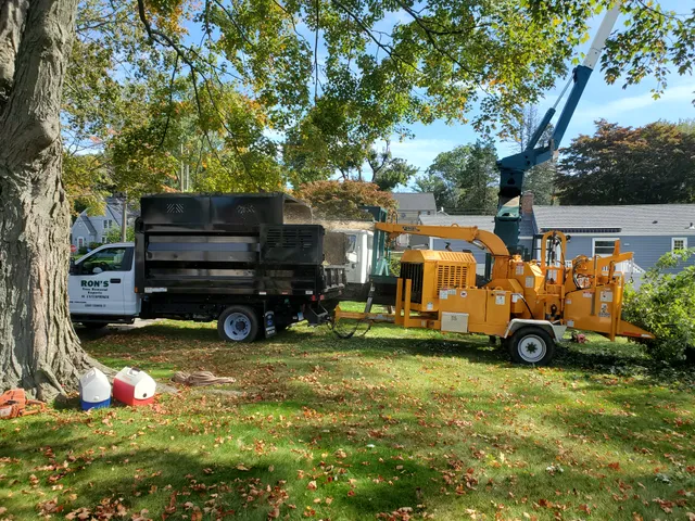 Ron's tree removal work photo