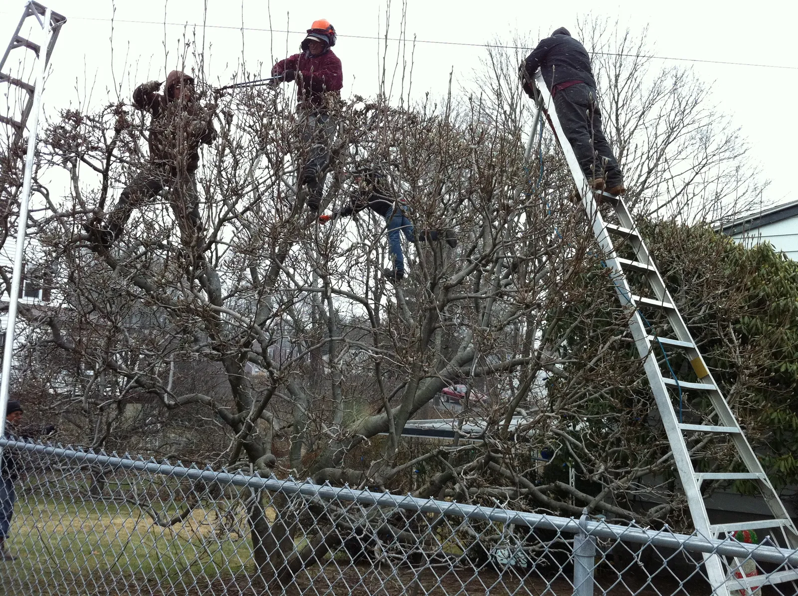 work photo from Google listing