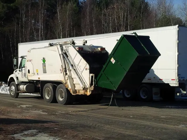 Professional Disposal work photo