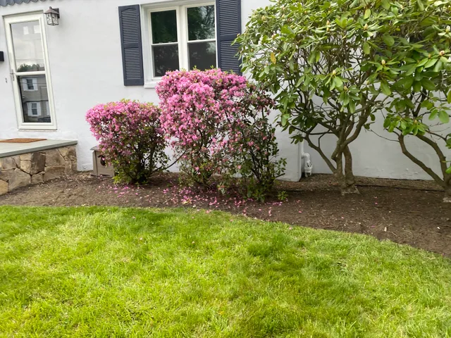 Armando and sons Landscaping and Sealcoating Inc work photo