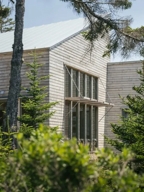 Pine Cove’s exterior with pale wood siding, a metal roof, and large windows shaded by a minimalist metal awning amid evergreen
