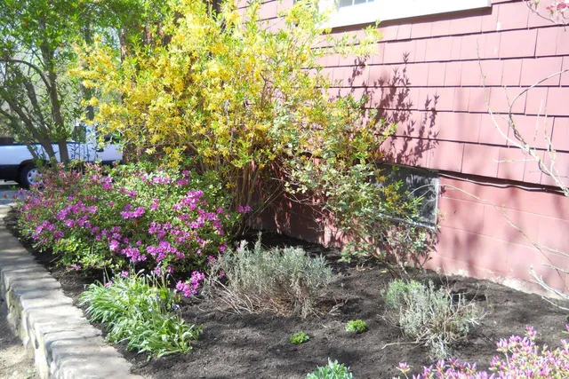 work photo from ajkelley.com
