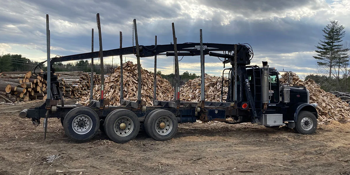 bradley tree Peterbilt log truck