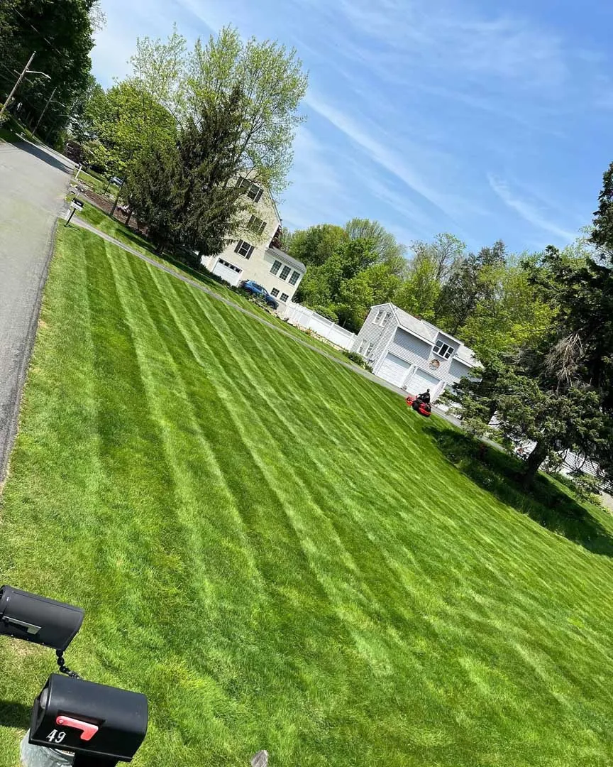 work photo from freshcutlandscapeus.com