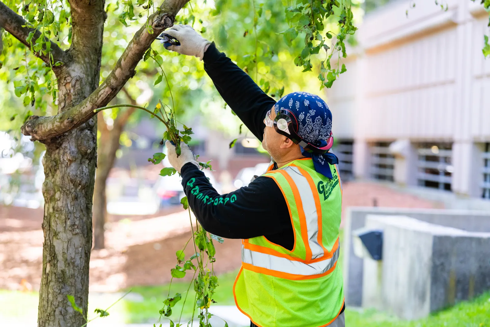 work photo from Google listing