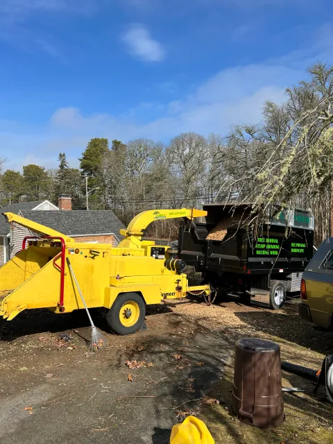 Luke's Tree service work photo