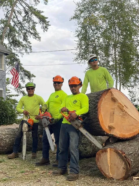 Green In Green Out Tree Services work photo