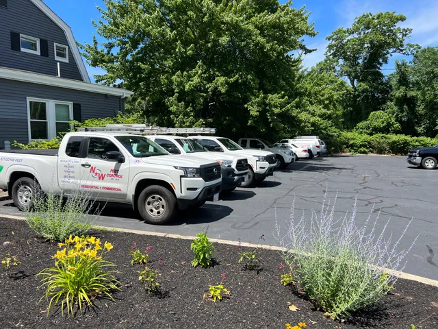 NW Pest Control work photo