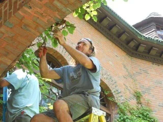 work photo from pillinglandscaping.com