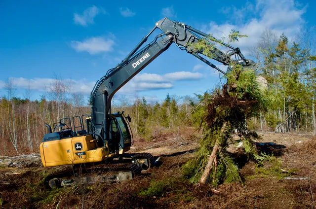 Seacoast Land & Brush Services LLC work photo