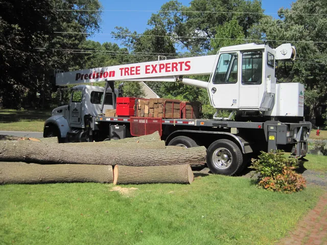 Precision Tree Experts LLC work photo