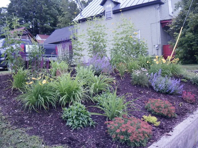 D. Adams Landscaping researched project photo