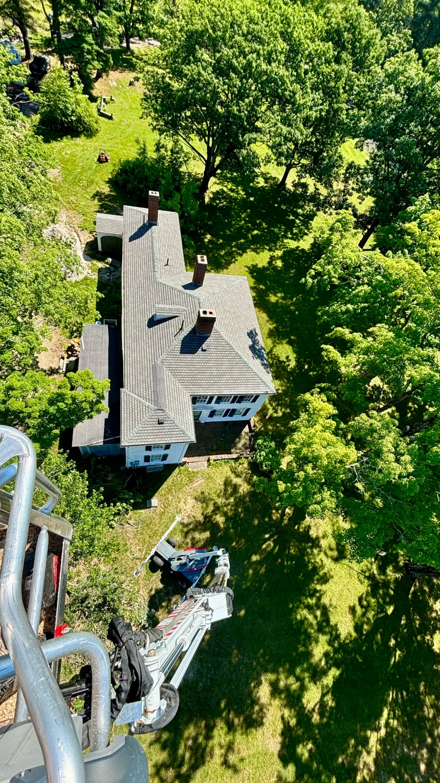 new england tree service 92' above house