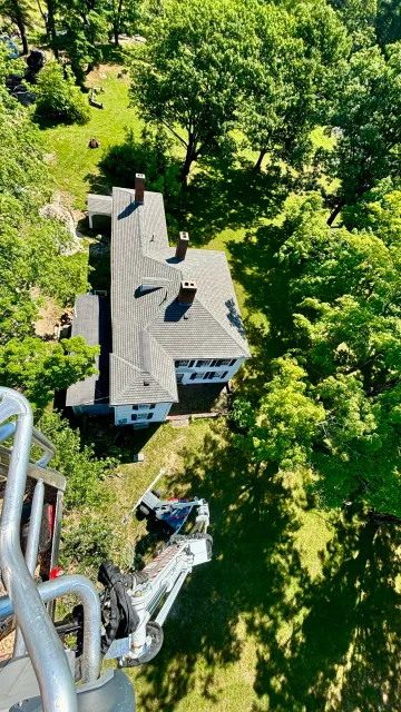 new england tree service 92' above house