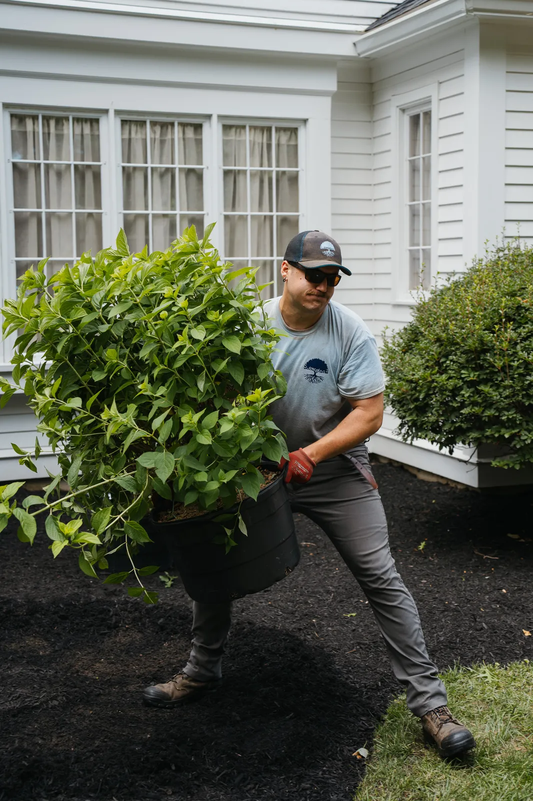 work photo from Google listing