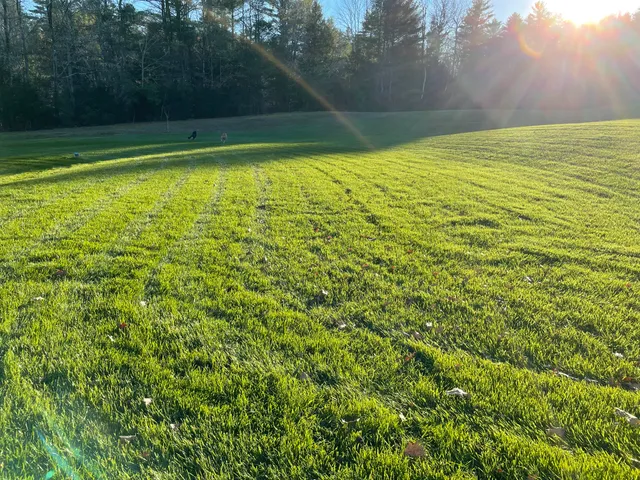 Cutter's Edge Lawn Maintenance/Hydro Seeding work photo