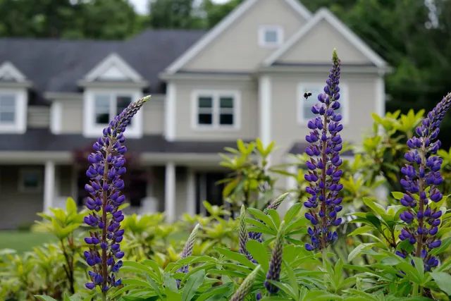 work photo from tjcollinslandscaping.com