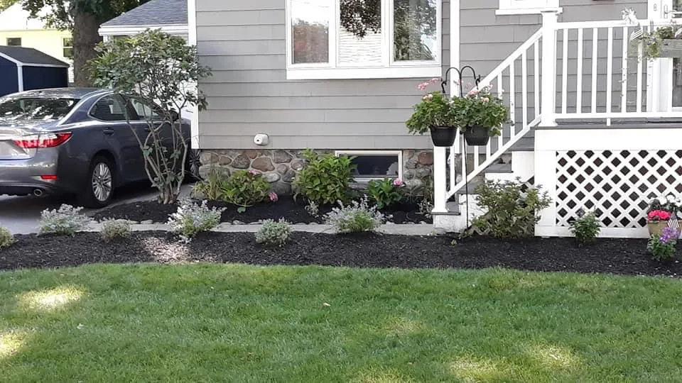 Wildflower Landscape Design