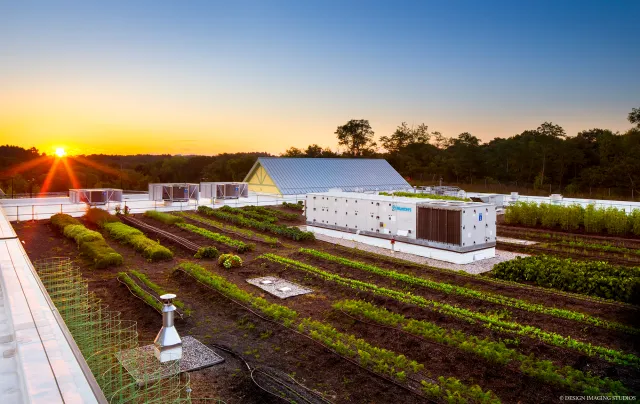 Sunset over a rooftop urban farm with vegetable beds, greenhouses, and cooling units, surrounded by trees.