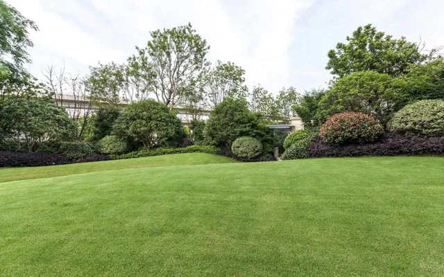 Lawn maintenance
