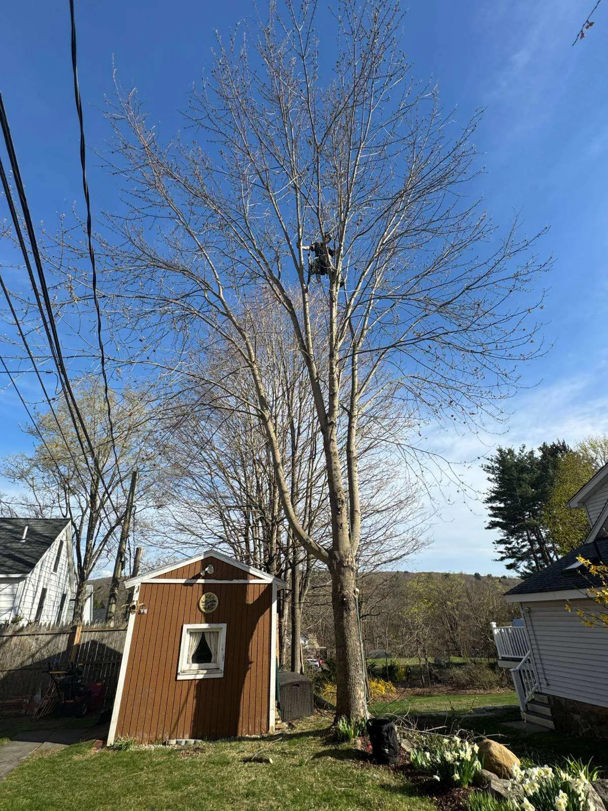 work photo from Google listing