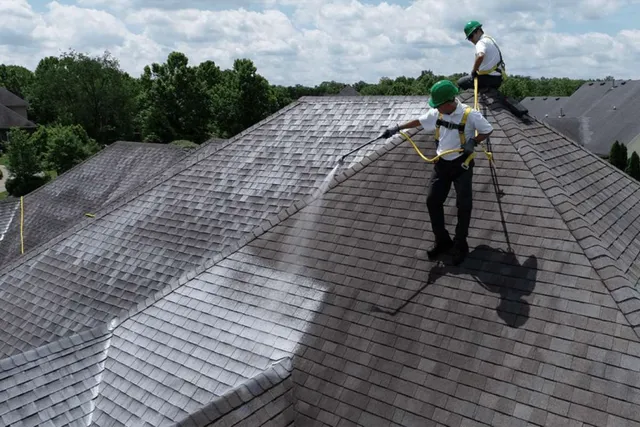 Scout Roof Rescue work photo