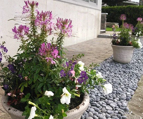 work photo from dolanlandscaping.com