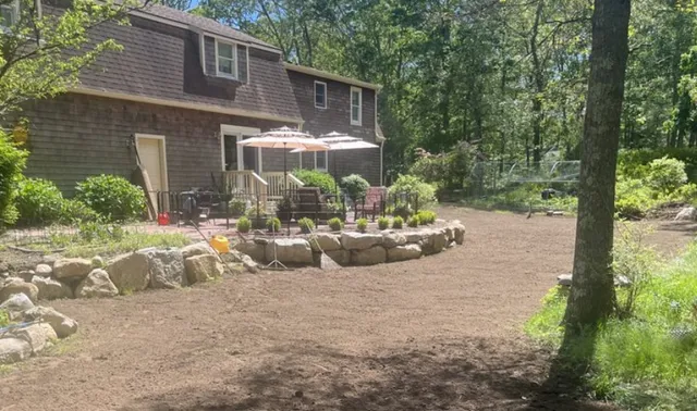 Yard Clean-Up