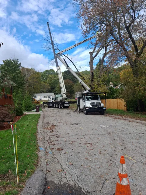 work photo from sepetree.com