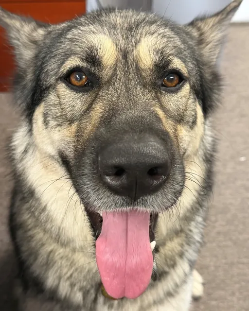 Fridays have us smiling like Shiloh. Have a great weekend!