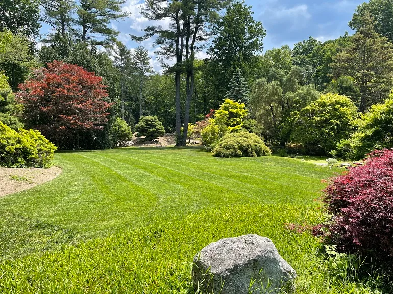work photo from kevinslawnmowing.com