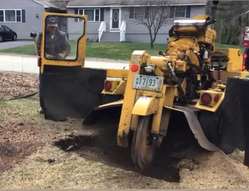 Bedford Tree equipment