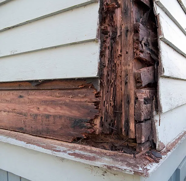 Professional wood rot repair and exterior home services in Wareham, MA.