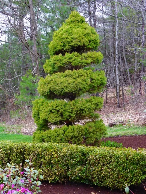 work photo from gardendesignsbyjacqueline.com