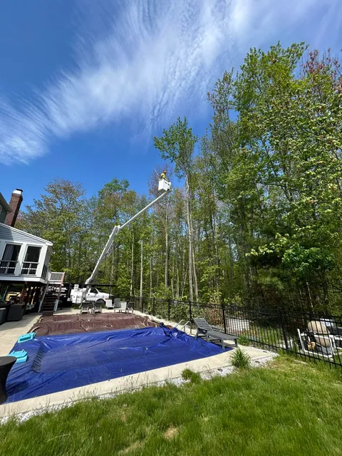Soul Tree Care llc work photo