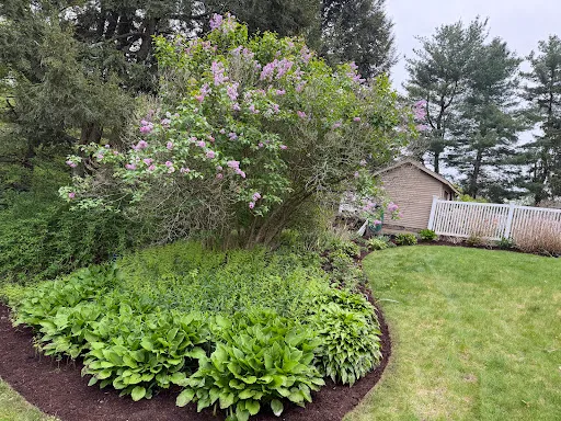 TB Lawn and Landscape work photo