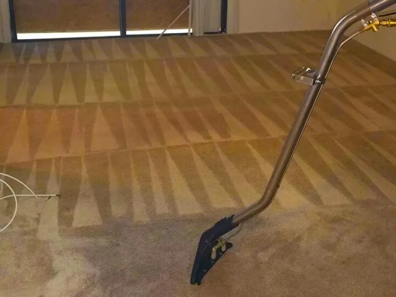 work photo from carpetcleaningneedham.com