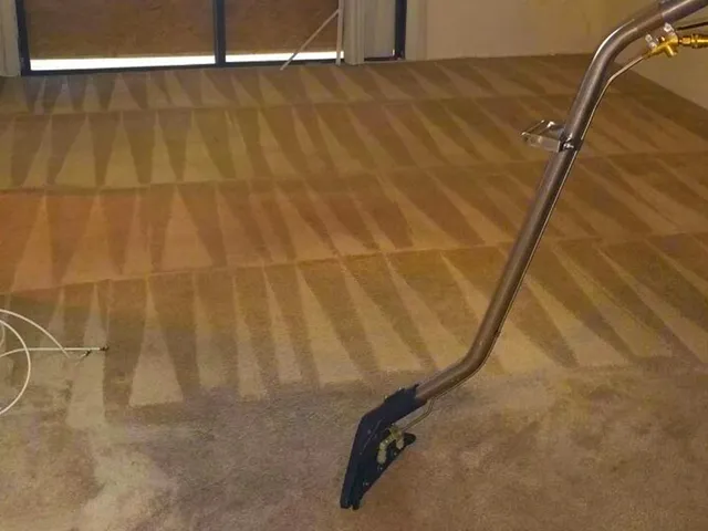 work photo from carpetcleaningneedham.com