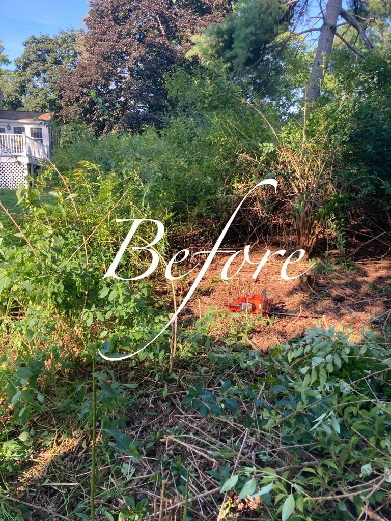 R L J Landscape & Tree Services
