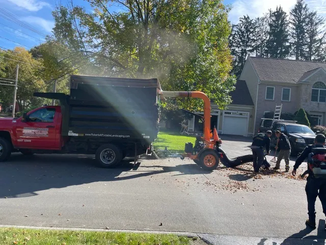 Roberto Affordable Land & Tree Service researched project photo
