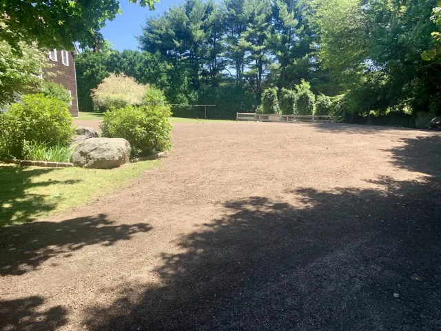 Empty dirt area surrounded by greenery and trees with rocks and shrubs on the side.