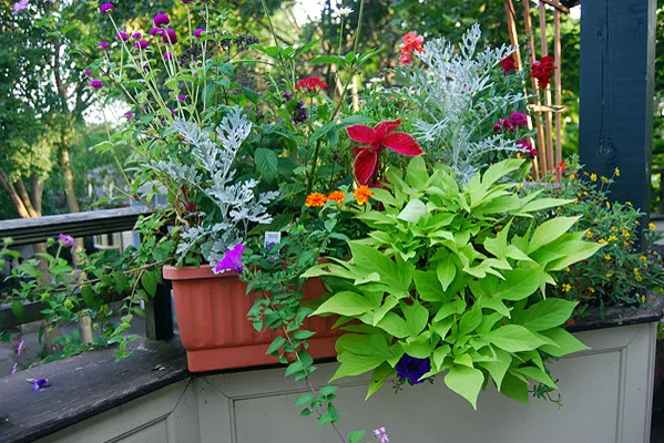 Seth Berman Gardeners researched project photo