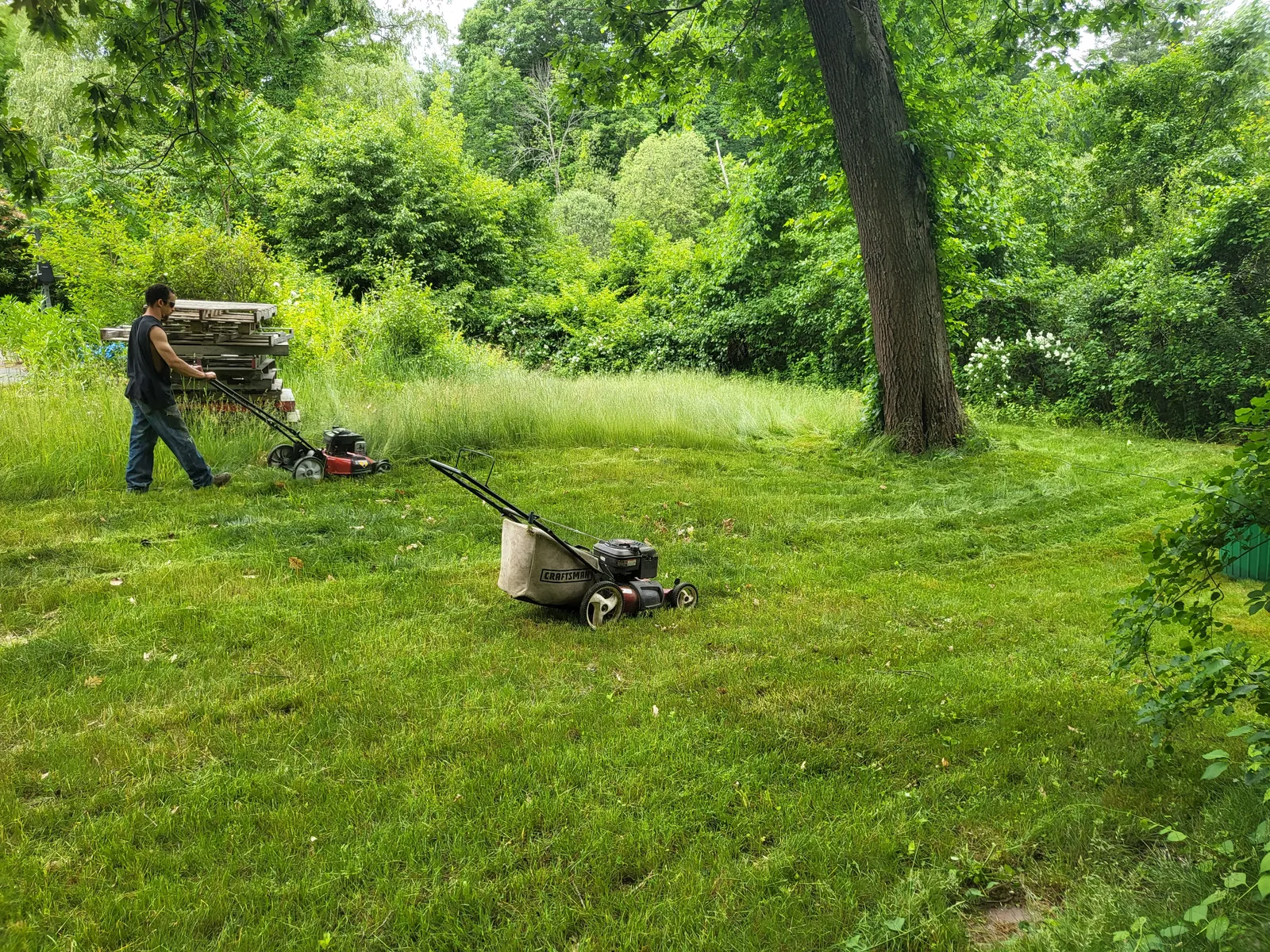 work photo from Google listing
