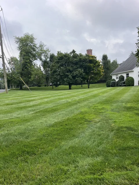 Striped, healthy lawn after aeration and overseeding