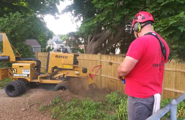 Cooks Tree Care Stump Removal MA.jpg