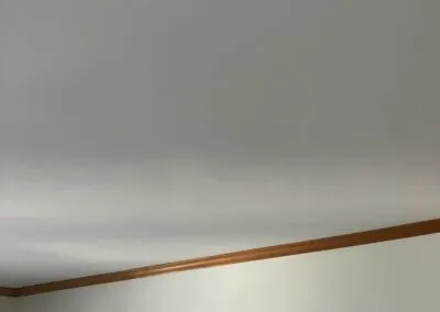 work photo from professionalpaintplus.com