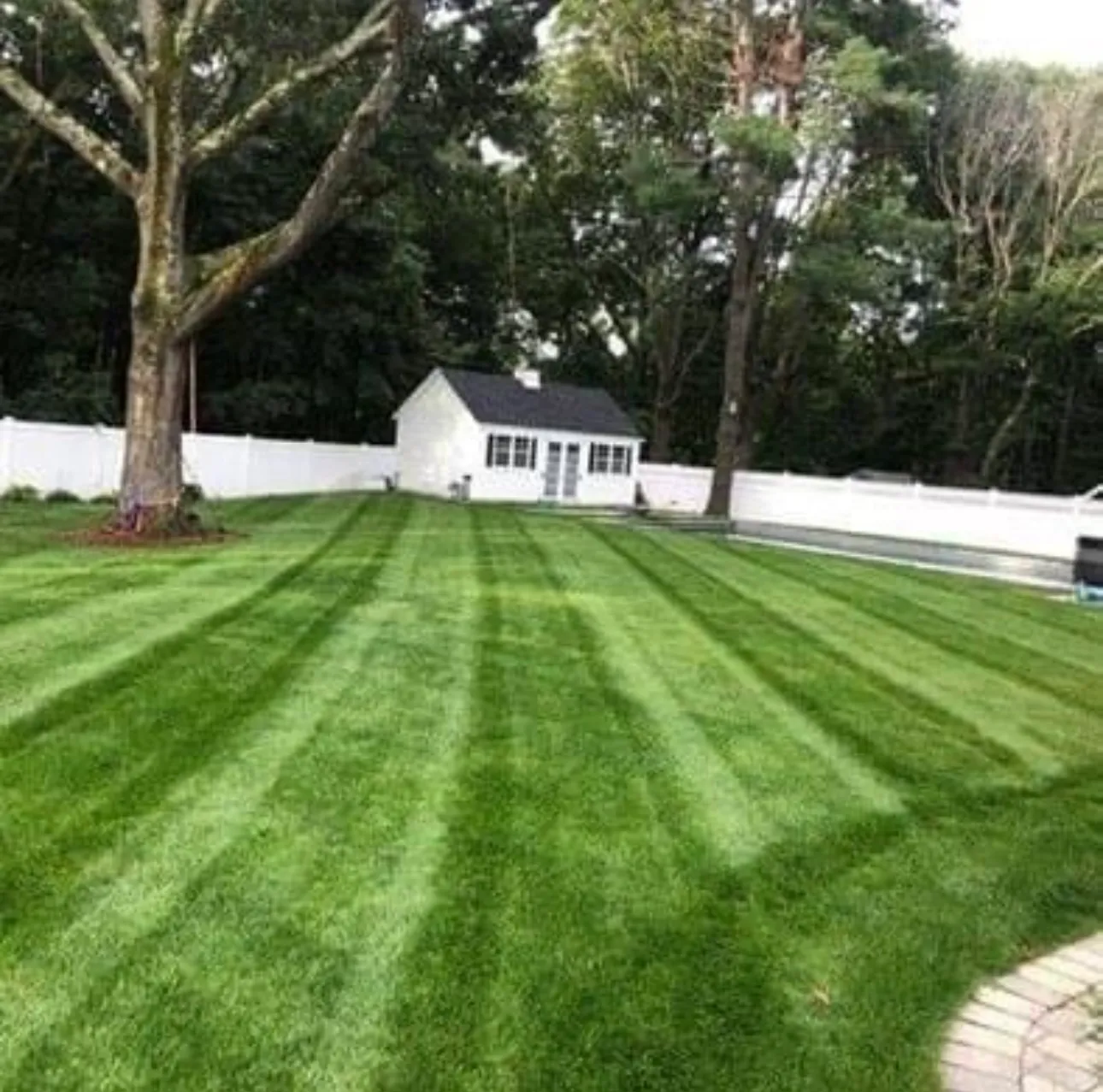 Wilson Tree & Landscaping Service