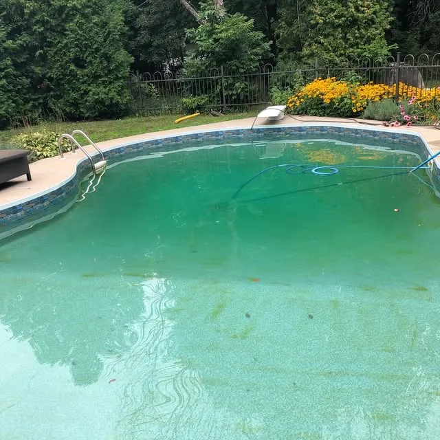 Dan the Pool Man researched project photo